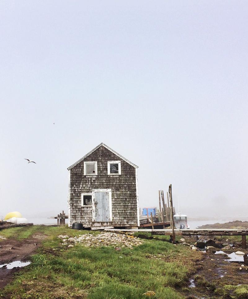 Kent Island photo by Zoe Wood ’18